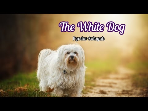 The White Dog - Fyodor Sologub
