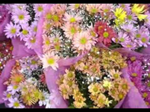 download lagu mp3 mp4 Ranchera Las Margaritas, download mp3 Ranchera Las Margaritas free download, download mp3 Ranchera Las Margaritas