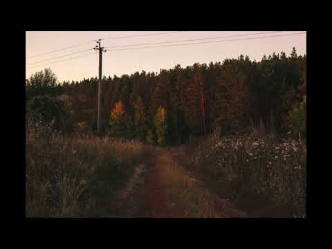 (free) *raw* sad indie acoustic guitar type beat "better"