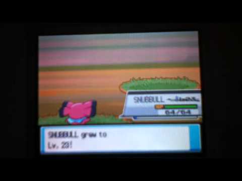 My Snubbull evolves into Granbull
