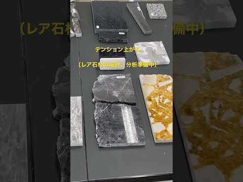 理工学科 激レア建築石材 #理工学部  #国士舘大学