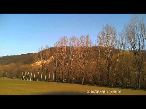 FX-807 Flybear Flight