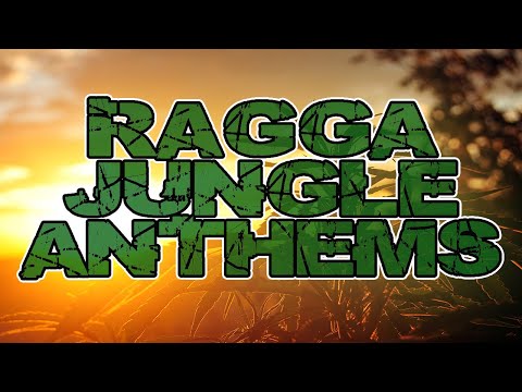 Oldskool Ragga Jungle Anthems DJ MIX