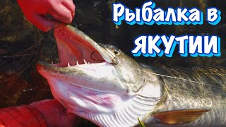 Ловля щуки спиннингом на лене