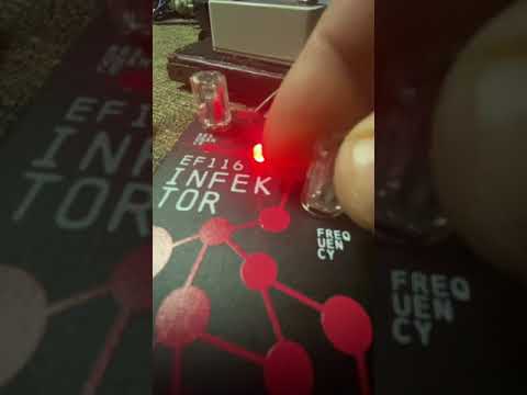 Electro Faustus Infektor Dissonant Frequency Smasher EF116 | Reverb