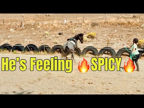 Rudnik Made It Quite Clear He Was NOT In The Mood To Work Today 🥲