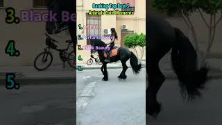Download lagu Peringkat 5 Momen Tarian Kuda Terbaik #shorts #shortsfeed mp3