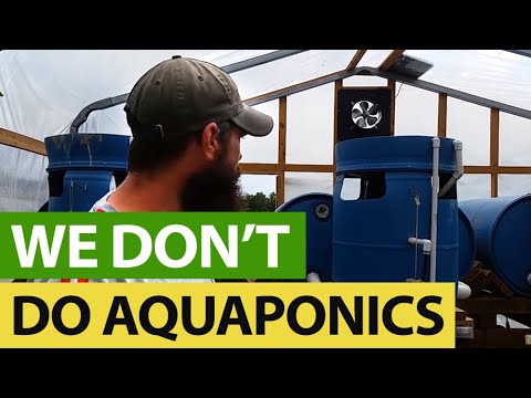 Why We DITCHED The Aquaponics System