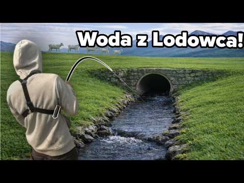 I Discovered Many Fish Under the Street in Iceland