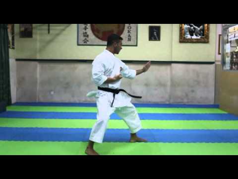 Najmeddin Heian Nidan JKA 2011