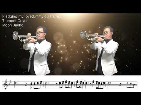 Pledging my love(Emmylou Harris)Trumpet Cover Moon Jaeho