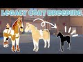 Breeding Legacy Coats and Getting ADORABLE Outcomes! | Wild Horse Islands