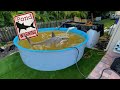 NEW Jaws Pond For Giant Predators Fish Beware