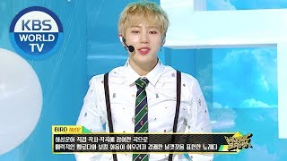 HA SUNG WOON(하성운) -Tell me I love you(오늘 꼭 말해줘) &amp; BIRD[Music Bank SOLO DEBUT/2019.03.01]