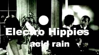 Electro Hippies - Acid Rain