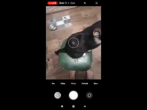 04.13.2024 part 2 06.09 checking apps, cash apps, hacker's treatment