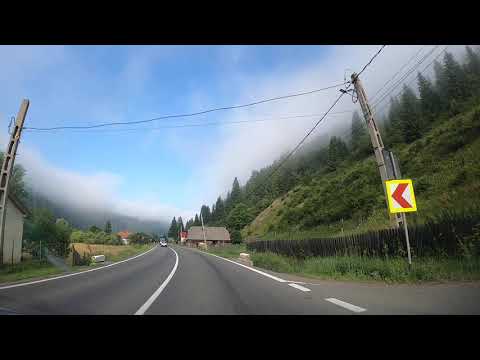 România -  Județul Mureș, Stânceni, Meștera, Neagra, Lunca Bradului