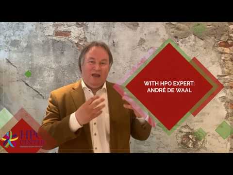 Principle 1 of the HPO Manager: future oriented & steadfast and disciplined