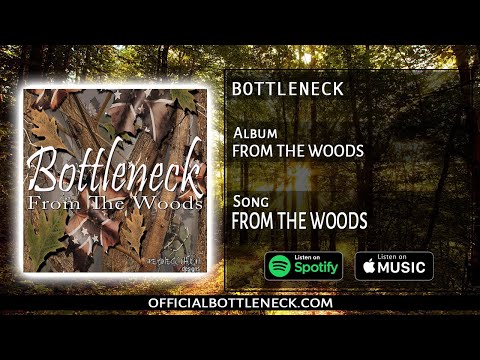 FROM THE WOODS - (BOTTLENECK) NEW ALBUM FROM THE WOODS