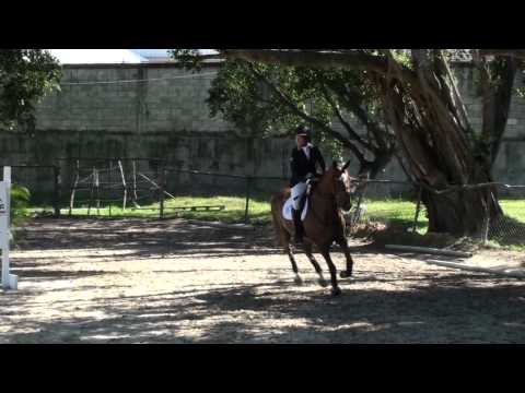 5ta Competencia Primavera 2014 - Nitram, May 17, 2014 - Maria Gabriela y Freud (1.00m) - 3er Lugar