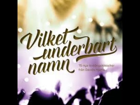 Vilket Underbart Namn | Hillsong På Svenska | Svenska & English | Lyrical Languages