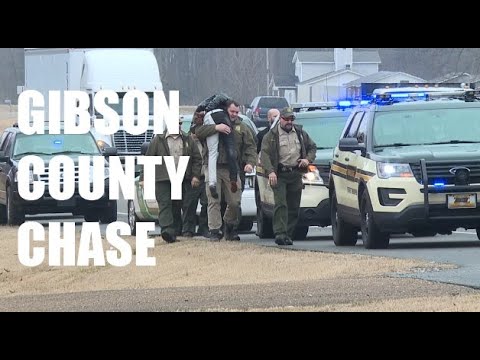 Wbbj Mugshots Gibson County