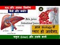 14 Liver And Its Work Formation Of RBC BIle Juice Intestinal Juice Nitin Sir Study 91