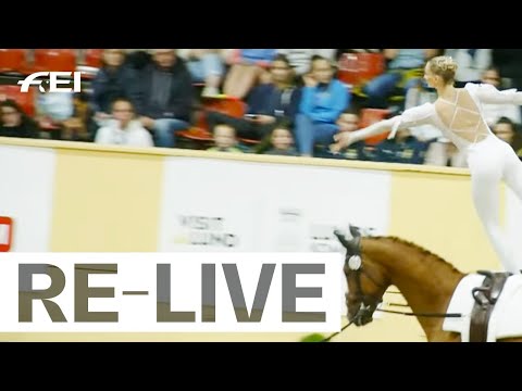 RE-LIVE | Individual Female & Male - Senior Technical Test I FEI Vaulting European Championship