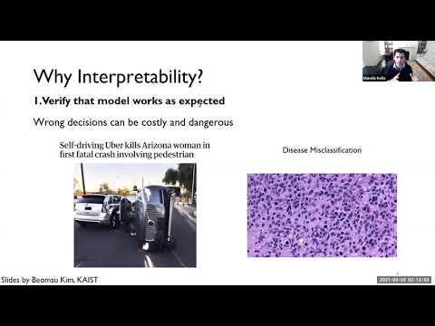 Interpretable Deep Learning - Deep Learning in Life Sciences - Lecture 05 (Spring 2021)