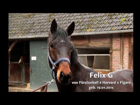 2017 04 02 Felix G v. Fürstenball x Harvard x Figaro