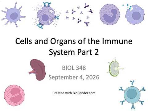 Immunology Fall 2026: Lecture 3 Cells and Organs of the Immune System Part 2