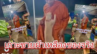 เกาะชายผ้าเหลืองของจริง น้องแมวเข้าถึงพระธรรมแล้ว