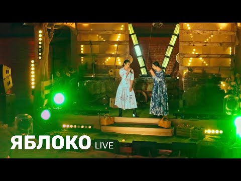 IOWA, Ёлка – Яблоко (LIVE @ veLvETOвый движ)