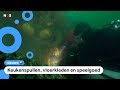 Duikers halen 2500 kilo troep uit de Noordzee