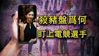 [閒聊] 崔九：電競選手簡直把「好騙」印在腦門上