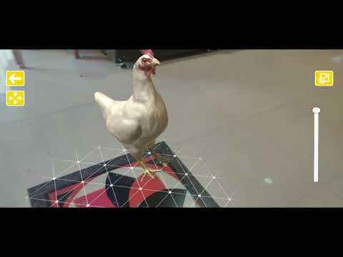 AR Animals - Using Ar Core