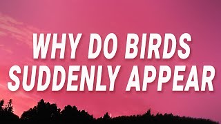 Download lagu Lady Gaga - Why do birds suddenly appear (Close To You) (Lyrics) mp3 Download lagu Lady Gaga - Why do birds suddenly appear (Close To You) (Lyrics) mp3