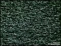 Big Momma S House Theatrical Trailer 2000