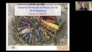 Matt Hufford: Genome Evolution in maize and its wild relatives