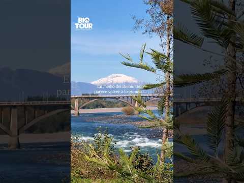 📍Puente Quilaco. Río Biobío 💦
