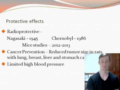 image-Is miso carcinogenic?