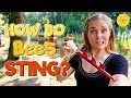How Do Bees Sting Maddie Moate