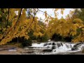 ERNESTO CORTAZAR - Autumn Rose 