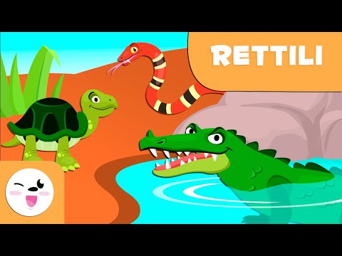 I rettili per bambini - Animali vertebrati - Scienze naturali per bambini