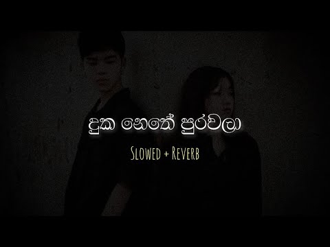 දුක නෙතේ පුරවලා | Duka Nethe Purawala ( Slowed + Reverb )