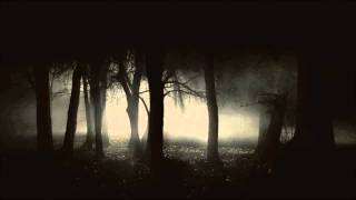 Burial - Dog Shelter (Essay's Old Edit) [Free Download]