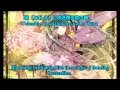 Miku Hatsune - Tsuki Kage Mai Ka Lyrics 