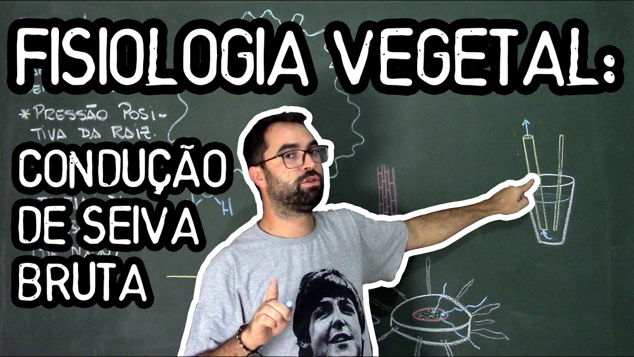 Condução de Seiva Bruta - Fisiologia Vegetal - Aula 24: Botânica (Prof. Guilherme)