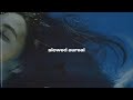 Billie Eilish Wildflower Slowed Reverb