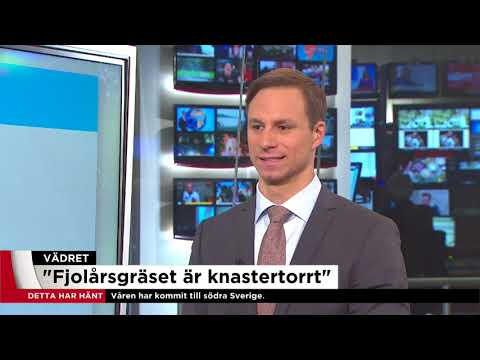 Knastertorrt gräs och brandrisk när våren äntligen kommer - Nyheterna (TV4)